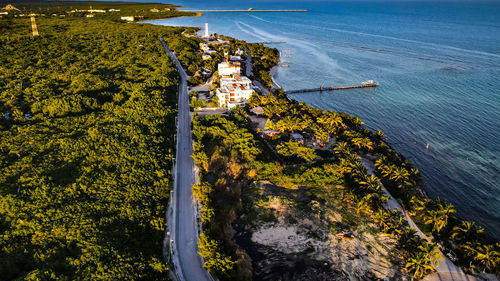 High angle view of plants by sea by drone