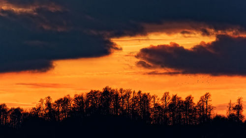 Low angle view of silhouette trees against dramatic sky