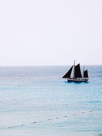 Sailboat sailing on sea against clear sky