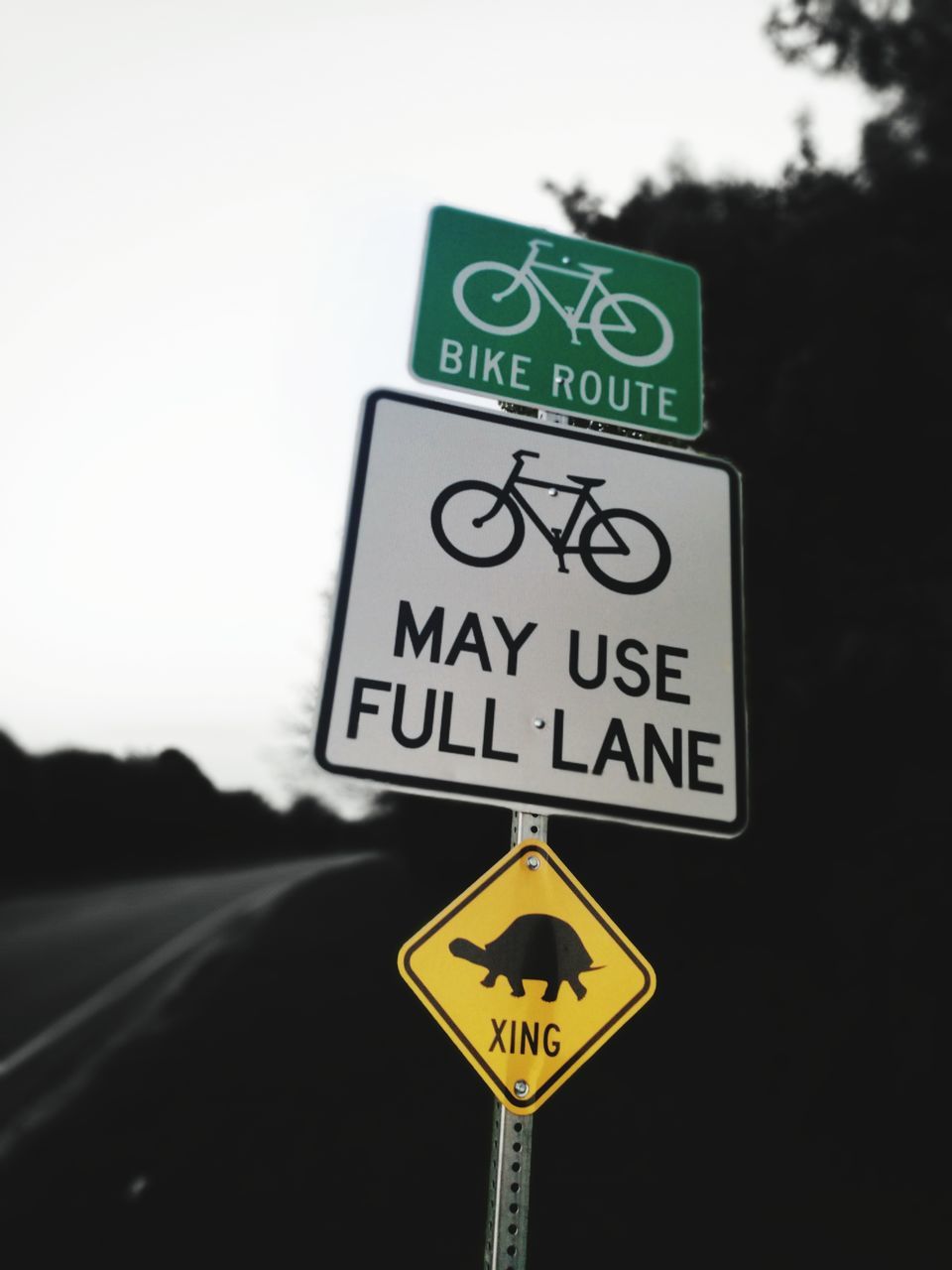 CLOSE-UP OF ROAD SIGNS AGAINST SKY