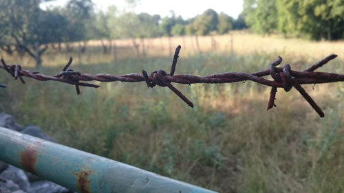 Close-up of chainlink fence