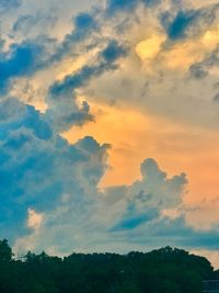 Low angle view of trees against sky during sunset