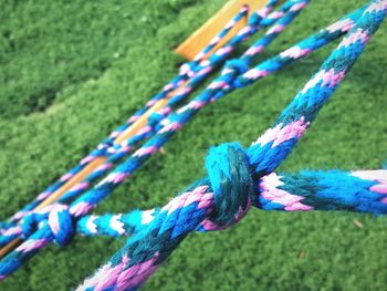 Close-up of multi colored grass on field