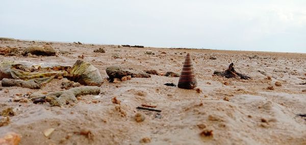 Surface level of desert against sky