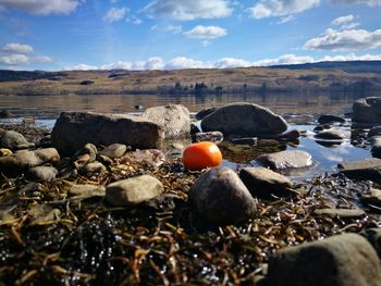 Rocks on shore against sky