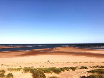 Scenic view of beach against clear blue sky