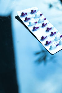 High angle view of medicines on table