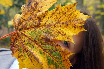 Close-up of woman holding yellow maple leaves during autumn
