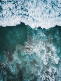 View of whale swimming in sea