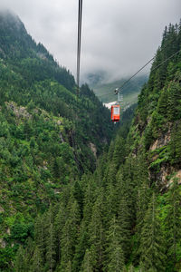 Overhead cable car amidst trees against sky