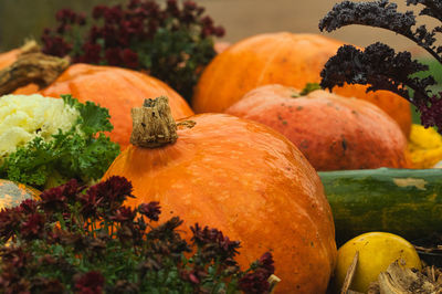 Close-up of pumpkins