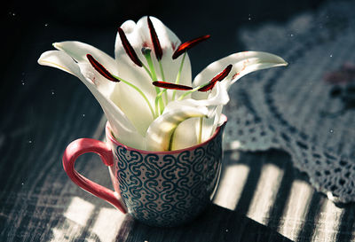 Close-up of white flowers