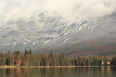 Scenic view of lake by trees against sky