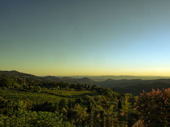 Scenic view of landscape against clear sky