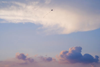 Low angle view of airplane flying in sky