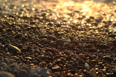 Full frame shot of stones on beach