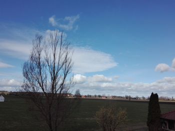 Bare trees on field against sky