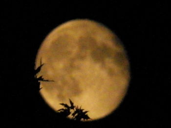 Low angle view of moon in sky