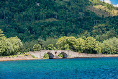 Arch bridge over river in forest