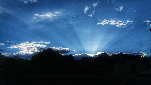 Trees against sky at night