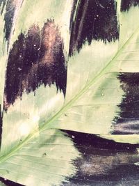 glass - material