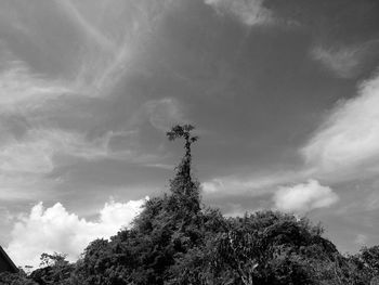 Low angle view of tree against sky