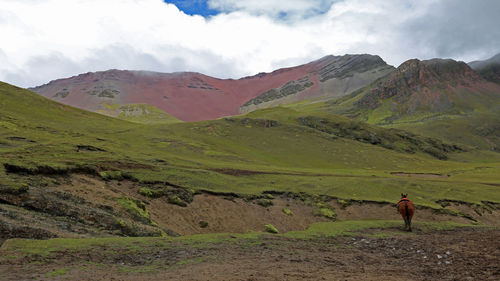Rear view of man with mountain range against sky