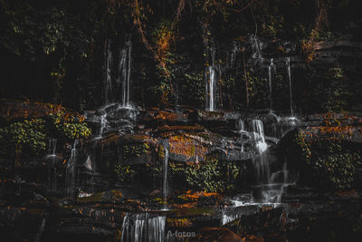 View of waterfall in forest