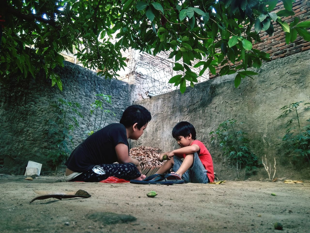 togetherness, men, tree, plant, two people, sitting, child, full length, nature, leisure activity, friendship, lifestyles, childhood, women, adult, emotion, bonding, day, female, casual clothing, adventure, land, family, relaxation, outdoors, jungle, love, positive emotion, young adult