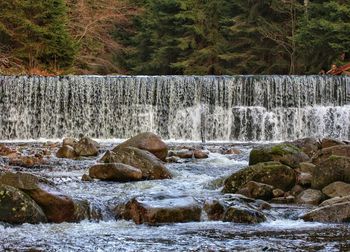 Close-up of turtle in water