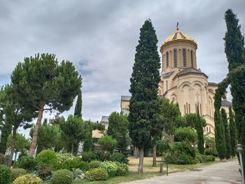 Panoramic view of trees and buildings against sky