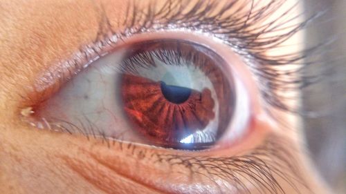 Extreme close-up of human eye