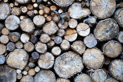 Full frame shot of logs in forest