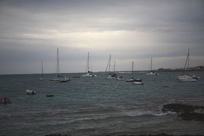 Sailboats sailing on sea against sky