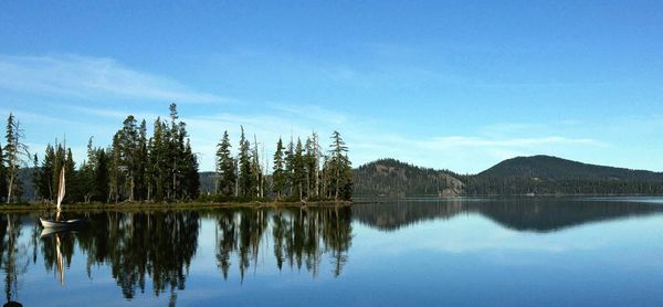 Reflection of trees in calm lake