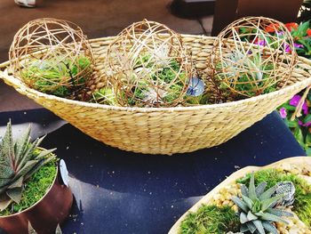 High angle view of potted plants in basket