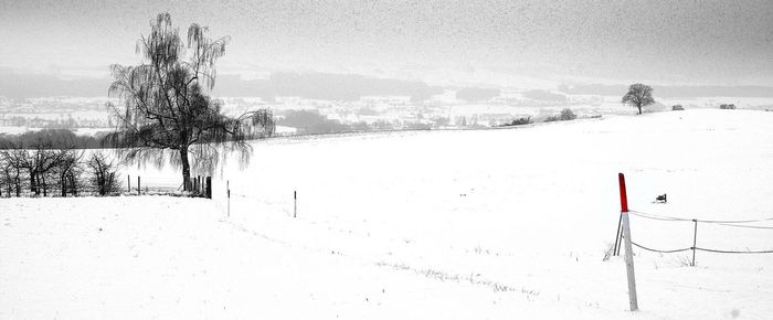 Trees on snow covered landscape against sky