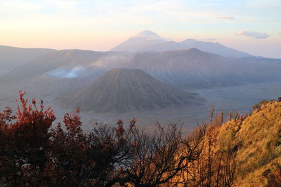 Breathtaking morning view from sunrise point mountain bromo. malang, indonesia.