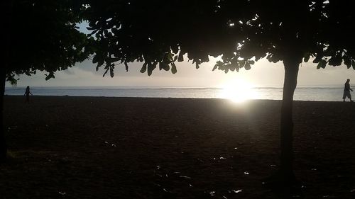 Silhouette trees on beach against sky at sunset