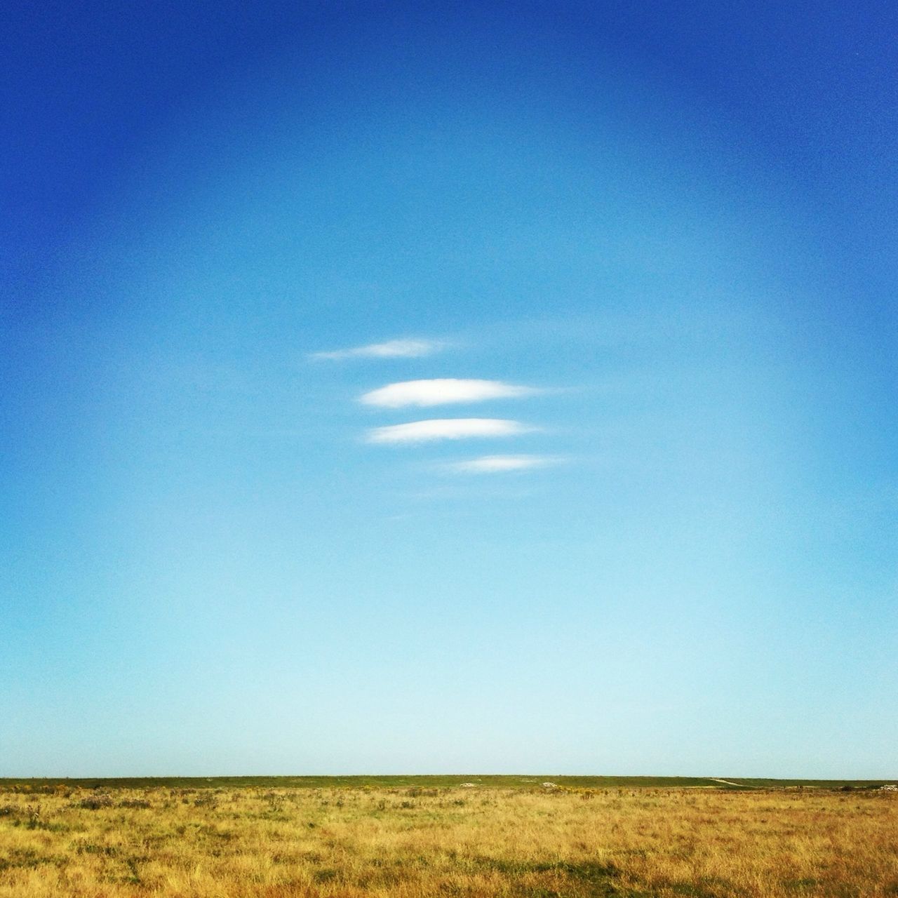 blue, landscape, field, tranquil scene, tranquility, copy space, clear sky, scenics, beauty in nature, horizon over land, rural scene, nature, agriculture, grass, sky, growth, idyllic, farm, remote, solitude