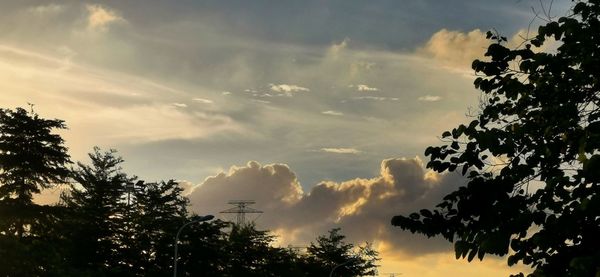 Low angle view of silhouette trees against sky