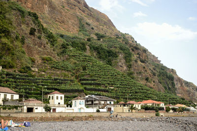 Scenic view of vineyards on mountain