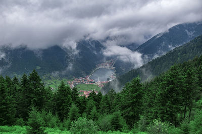 Panoramic view of trees and mountains against sky. landscape in uzungol, turkey