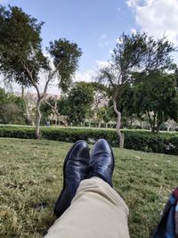 Low section of person on field against trees