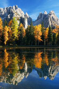 Autumn trees by lake against sky