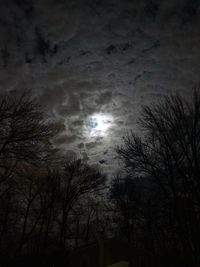 Low angle view of silhouette trees against sky