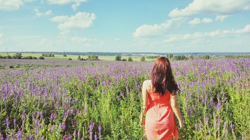 Rear view of woman standing on lavender field