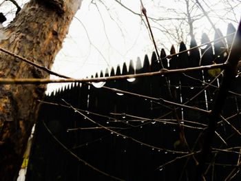 Close-up of chainlink fence