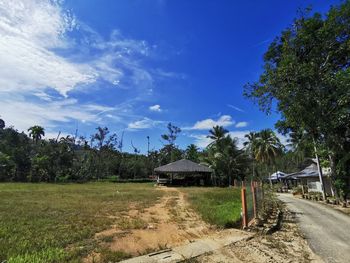 Trees and houses on field against sky