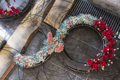 Low angle view of potted plants